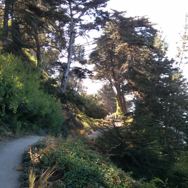 Part of the Lands End Trail
