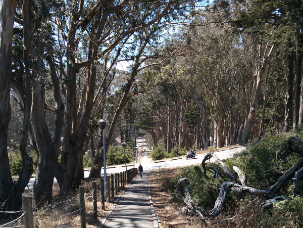 A path at the entrance to The Presidio